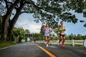 BIB: 
                            <button type="button" onclick="openModal(26537342)" class="btn btn-primary btn-sm float-right btn-popup" data-toggle="modal" data-target=".modal-high-quality">
                        <i class="fas fa-shopping-cart"></i> Add to Cart
                    </button>
                                            <button type="button" onclick="isThisMe(26537342, true)" class="btn btn-success btn-sm float-right btn-popup btn-isme hidden" data-toggle="tooltip" data-placement="bottom" title="นี่คือรูปของคุณใช่ไหม คลิกที่นี่เพื่อเอาเข้าอัลบั้ม">
                        <i class="fas fa-plus"></i> Add to album
                    </button>
                    <button type="button" onclick="isThisMe(26537342, false)" class="btn btn-warning btn-sm float-right btn-popup btn-isnotme hidden">
                        <i class="fas fa-ban"></i> Remove from album
                    </button>